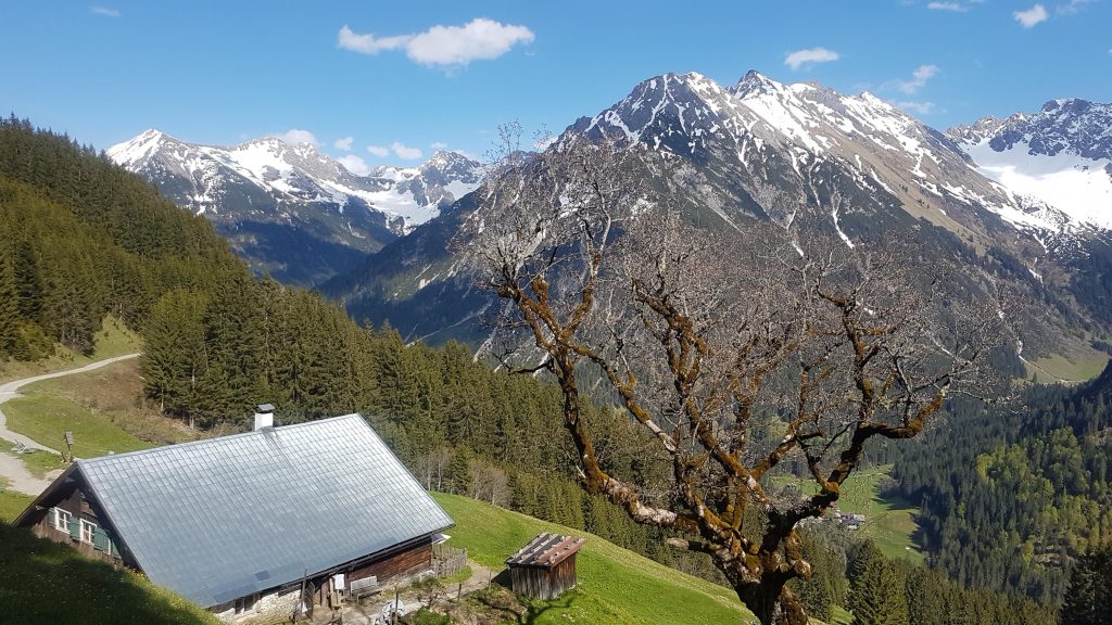 Urige Almen hoch über dem Kleinwalsertal