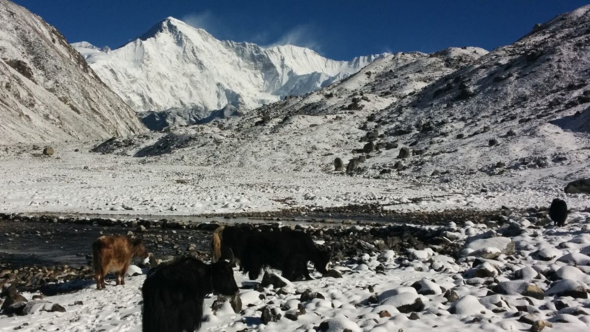 Informationen Corona Nepal